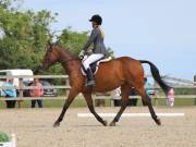 Image 68 in BROADLAND EQUESTRIAN CENTRE. DRESSAGE. JUNE 2019.