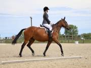 Image 69 in BROADLAND EQUESTRIAN CENTRE. DRESSAGE. JUNE 2019.