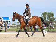 Image 77 in BROADLAND EQUESTRIAN CENTRE. DRESSAGE. JUNE 2019.