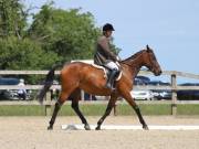 Image 78 in BROADLAND EQUESTRIAN CENTRE. DRESSAGE. JUNE 2019.