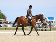 Image 79 in BROADLAND EQUESTRIAN CENTRE. DRESSAGE. JUNE 2019.