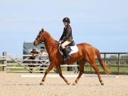 Image 8 in BROADLAND EQUESTRIAN CENTRE. DRESSAGE. JUNE 2019.