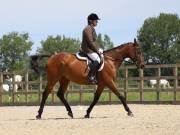 Image 82 in BROADLAND EQUESTRIAN CENTRE. DRESSAGE. JUNE 2019.