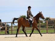 Image 83 in BROADLAND EQUESTRIAN CENTRE. DRESSAGE. JUNE 2019.