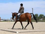 Image 85 in BROADLAND EQUESTRIAN CENTRE. DRESSAGE. JUNE 2019.