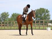 Image 86 in BROADLAND EQUESTRIAN CENTRE. DRESSAGE. JUNE 2019.