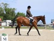 Image 87 in BROADLAND EQUESTRIAN CENTRE. DRESSAGE. JUNE 2019.