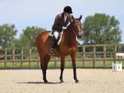 Image 88 in BROADLAND EQUESTRIAN CENTRE. DRESSAGE. JUNE 2019.