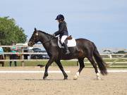 Image 9 in BROADLAND EQUESTRIAN CENTRE. DRESSAGE. JUNE 2019.