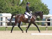 Image 91 in BROADLAND EQUESTRIAN CENTRE. DRESSAGE. JUNE 2019.