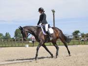 Image 95 in BROADLAND EQUESTRIAN CENTRE. DRESSAGE. JUNE 2019.