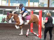 Image 100 in WORLD HORSE WELFARE. CLEAR ROUND SHOW JUMPING WITH ALI PEARSON. 22 JUNE 2019