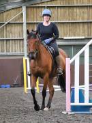 Image 102 in WORLD HORSE WELFARE. CLEAR ROUND SHOW JUMPING WITH ALI PEARSON. 22 JUNE 2019
