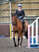 Image 102 in WORLD HORSE WELFARE. CLEAR ROUND SHOW JUMPING WITH ALI PEARSON. 22 JUNE 2019