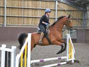 Image 113 in WORLD HORSE WELFARE. CLEAR ROUND SHOW JUMPING WITH ALI PEARSON. 22 JUNE 2019