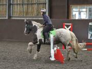 Image 130 in WORLD HORSE WELFARE. CLEAR ROUND SHOW JUMPING WITH ALI PEARSON. 22 JUNE 2019