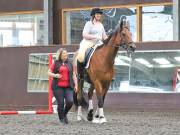 Image 14 in WORLD HORSE WELFARE. CLEAR ROUND SHOW JUMPING WITH ALI PEARSON. 22 JUNE 2019