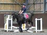 Image 144 in WORLD HORSE WELFARE. CLEAR ROUND SHOW JUMPING WITH ALI PEARSON. 22 JUNE 2019