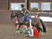 Image 185 in WORLD HORSE WELFARE. CLEAR ROUND SHOW JUMPING WITH ALI PEARSON. 22 JUNE 2019