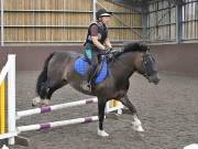 Image 186 in WORLD HORSE WELFARE. CLEAR ROUND SHOW JUMPING WITH ALI PEARSON. 22 JUNE 2019