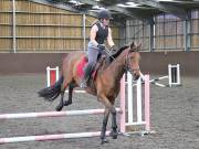Image 187 in WORLD HORSE WELFARE. CLEAR ROUND SHOW JUMPING WITH ALI PEARSON. 22 JUNE 2019