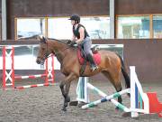 Image 193 in WORLD HORSE WELFARE. CLEAR ROUND SHOW JUMPING WITH ALI PEARSON. 22 JUNE 2019