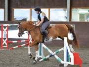 Image 212 in WORLD HORSE WELFARE. CLEAR ROUND SHOW JUMPING WITH ALI PEARSON. 22 JUNE 2019