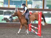 Image 218 in WORLD HORSE WELFARE. CLEAR ROUND SHOW JUMPING WITH ALI PEARSON. 22 JUNE 2019