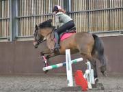 Image 235 in WORLD HORSE WELFARE. CLEAR ROUND SHOW JUMPING WITH ALI PEARSON. 22 JUNE 2019