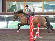 Image 237 in WORLD HORSE WELFARE. CLEAR ROUND SHOW JUMPING WITH ALI PEARSON. 22 JUNE 2019