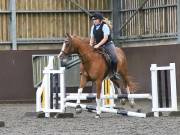 Image 239 in WORLD HORSE WELFARE. CLEAR ROUND SHOW JUMPING WITH ALI PEARSON. 22 JUNE 2019