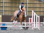 Image 240 in WORLD HORSE WELFARE. CLEAR ROUND SHOW JUMPING WITH ALI PEARSON. 22 JUNE 2019