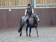 Image 43 in WORLD HORSE WELFARE. CLEAR ROUND SHOW JUMPING WITH ALI PEARSON. 22 JUNE 2019