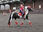 Image 53 in WORLD HORSE WELFARE. CLEAR ROUND SHOW JUMPING WITH ALI PEARSON. 22 JUNE 2019