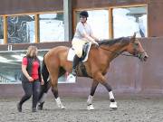 Image 8 in WORLD HORSE WELFARE. CLEAR ROUND SHOW JUMPING WITH ALI PEARSON. 22 JUNE 2019