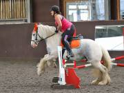 Image 80 in WORLD HORSE WELFARE. CLEAR ROUND SHOW JUMPING WITH ALI PEARSON. 22 JUNE 2019