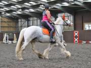 Image 82 in WORLD HORSE WELFARE. CLEAR ROUND SHOW JUMPING WITH ALI PEARSON. 22 JUNE 2019