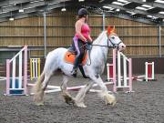 Image 83 in WORLD HORSE WELFARE. CLEAR ROUND SHOW JUMPING WITH ALI PEARSON. 22 JUNE 2019