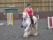 Image 87 in WORLD HORSE WELFARE. CLEAR ROUND SHOW JUMPING WITH ALI PEARSON. 22 JUNE 2019