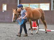 Image 10 in WORLD HORSE WELFARE. CLEAR ROUND SHOW JUMPING WITH ALI PEARSON. 13 JULY 2019