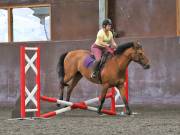 Image 115 in WORLD HORSE WELFARE. CLEAR ROUND SHOW JUMPING WITH ALI PEARSON. 13 JULY 2019