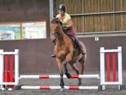 Image 116 in WORLD HORSE WELFARE. CLEAR ROUND SHOW JUMPING WITH ALI PEARSON. 13 JULY 2019