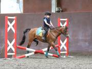 Image 119 in WORLD HORSE WELFARE. CLEAR ROUND SHOW JUMPING WITH ALI PEARSON. 13 JULY 2019