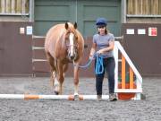 Image 12 in WORLD HORSE WELFARE. CLEAR ROUND SHOW JUMPING WITH ALI PEARSON. 13 JULY 2019