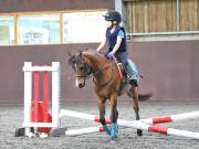 Image 121 in WORLD HORSE WELFARE. CLEAR ROUND SHOW JUMPING WITH ALI PEARSON. 13 JULY 2019