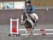 Image 130 in WORLD HORSE WELFARE. CLEAR ROUND SHOW JUMPING WITH ALI PEARSON. 13 JULY 2019