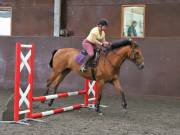 Image 132 in WORLD HORSE WELFARE. CLEAR ROUND SHOW JUMPING WITH ALI PEARSON. 13 JULY 2019