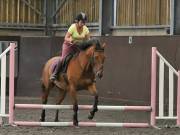 Image 133 in WORLD HORSE WELFARE. CLEAR ROUND SHOW JUMPING WITH ALI PEARSON. 13 JULY 2019