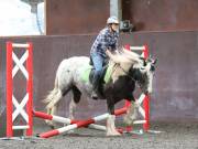 Image 141 in WORLD HORSE WELFARE. CLEAR ROUND SHOW JUMPING WITH ALI PEARSON. 13 JULY 2019