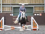 Image 144 in WORLD HORSE WELFARE. CLEAR ROUND SHOW JUMPING WITH ALI PEARSON. 13 JULY 2019